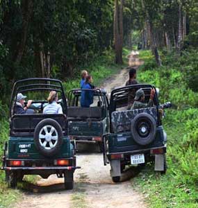 jeep safari in manas