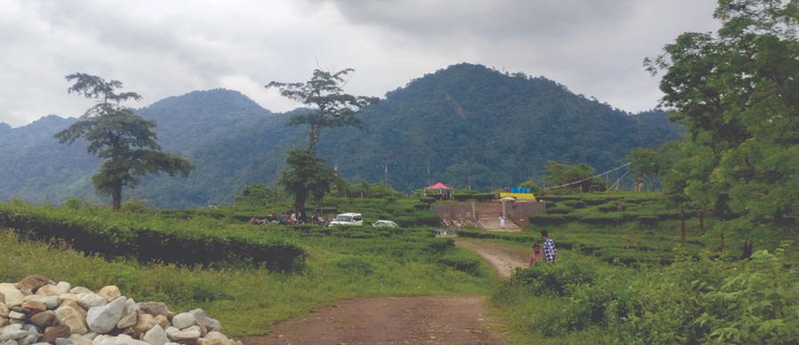 bueaty of manas park