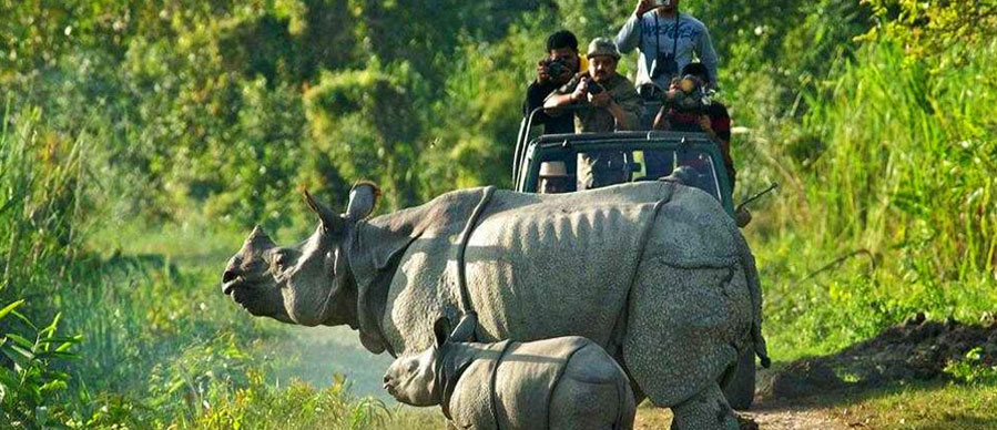 manas tour guidelines