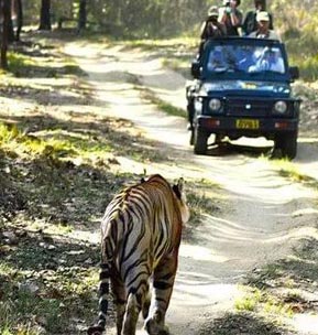 manas jeep tour