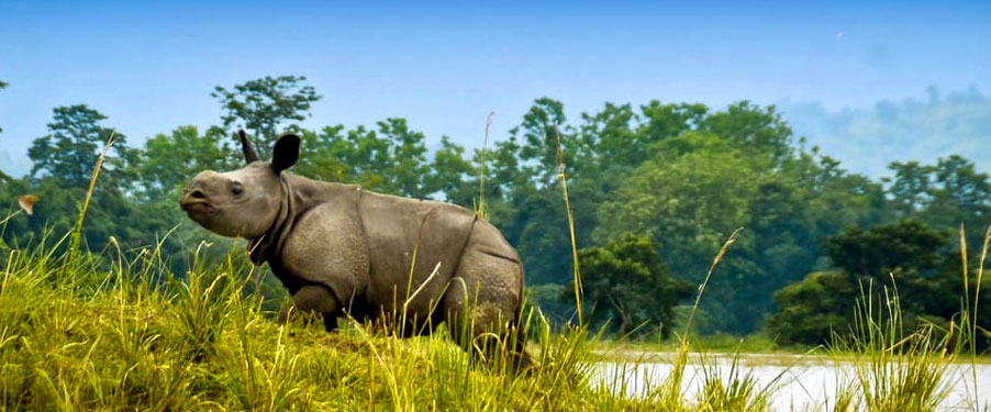 manas rahino sightseeing