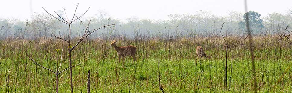 best to visit manas