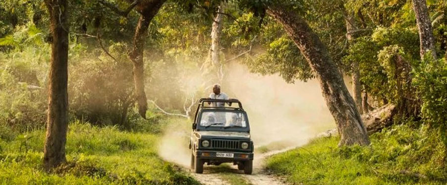 manas jeep
