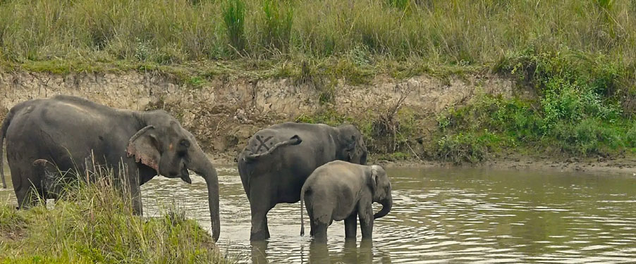 manas winter summer tour