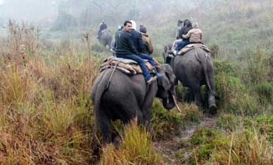 manssafari