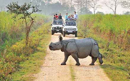 panbari zone